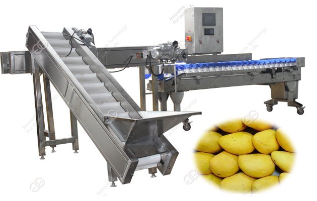 fruit sorting machine for sale