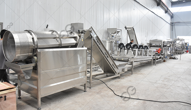 french fries production line