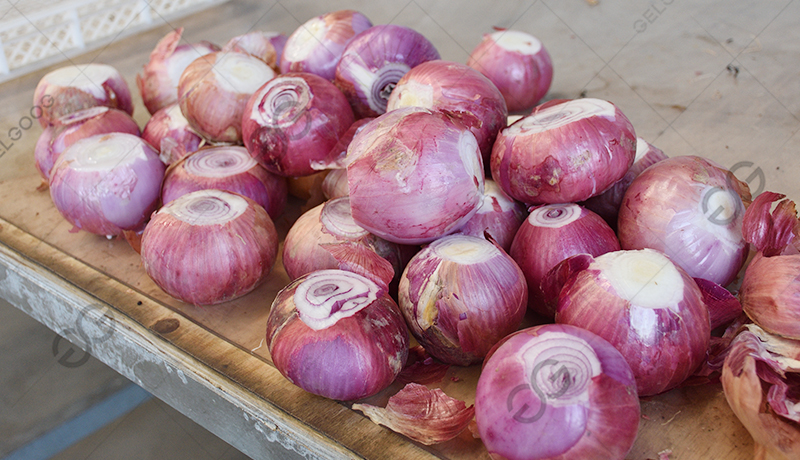 onion root cutting effect