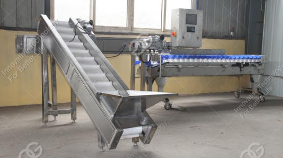 weight sorting production line