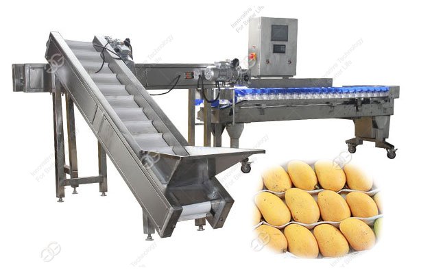 weight sorting production line