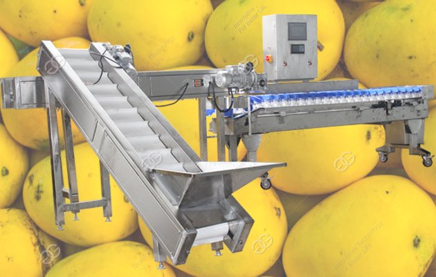 mango weight sorting machine