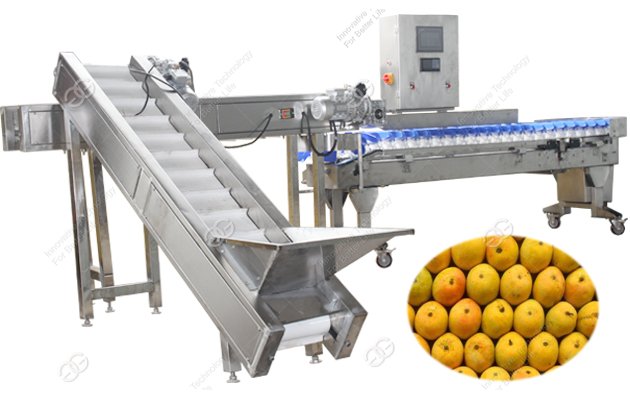 mango weight grading machine