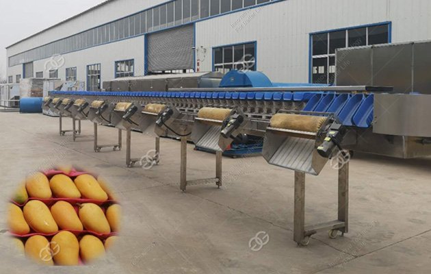 automatic weight sorting machine