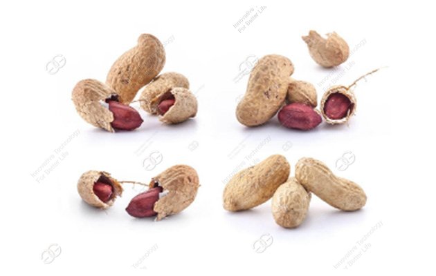 valuable peanut