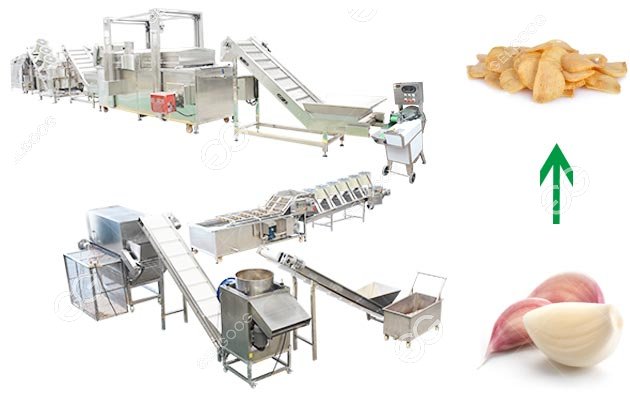 garlic chips production line