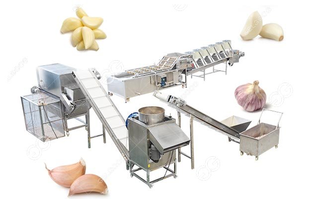 garlic chips processing machine